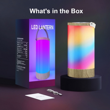 LED室内灯 - HCP030 手提氛围灯